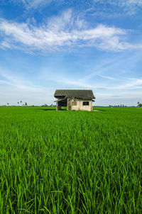 Barn on field against sky