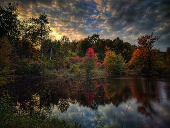 Trees by pond in park against cloudy sky