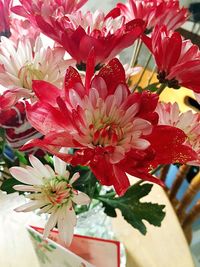 Close-up of red flowers