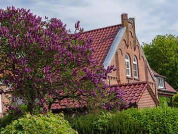 Spring time in greetsiel