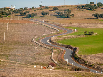 High angle view of agricultural field