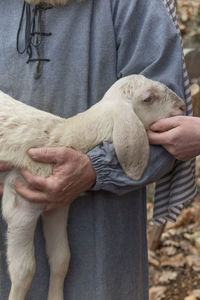 Lamb with shepherd