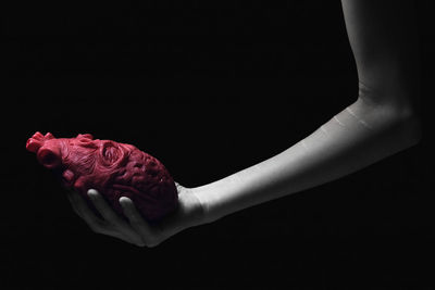 Close-up of hand holding rose over black background