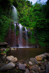 Scenic view of waterfall in forest