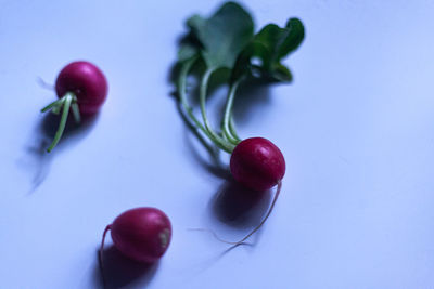 Close-up of apples on table
