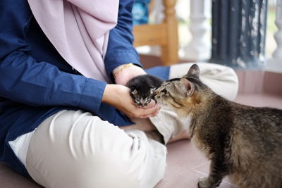 Midsection of woman holding kitten