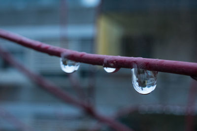 Close-up of water drop hanging on pole in winter