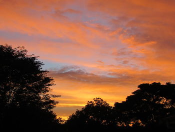 Low angle view of silhouette trees against orange sky