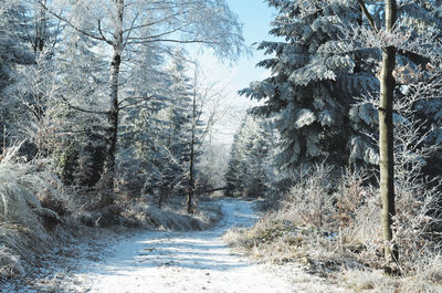 Scenic view of snow covered land