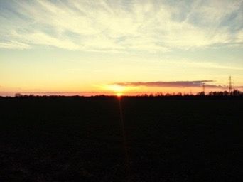 Silhouette of landscape at sunset