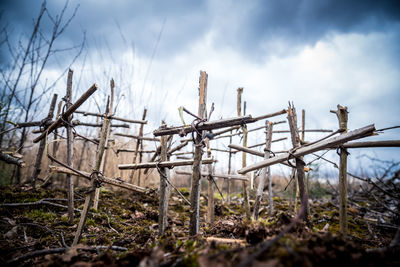 Wooden cross in cemetery against sky at zaventem