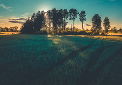 Scenic view of field against sky at sunset