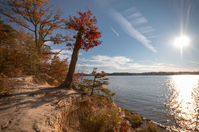 Scenic view of lake against sky on sunny day