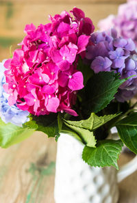 Close-up of pink flowers blooming outdoors