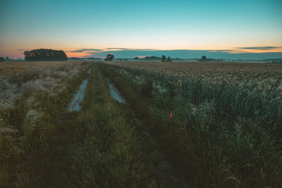 Scenic view of field against sky during sunset
