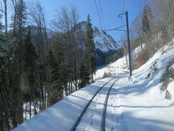 snow