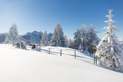 Winter in the mountains. picturesque winter scene in the austrian alps