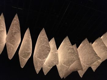 Close-up of illuminated lights against black background