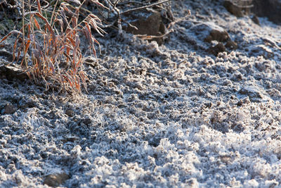 Full frame shot of sand
