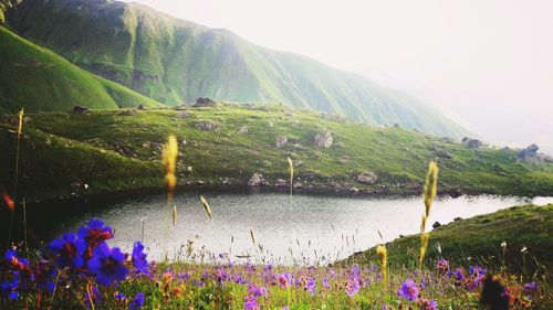 Scenic view of lake against clear sky