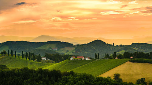 Scenic view of field against sky during sunset