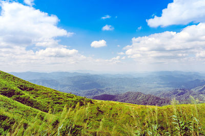 Scenic view of agricultural landscape against sky