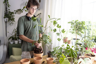 A young man holding mini monstera rhaphidophora. cultivation and caring for indoor potted plants.