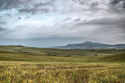 Scenic view of field against sky