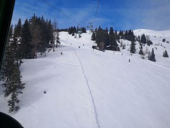 Snow covered land and trees against sky