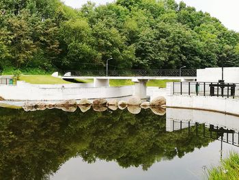 Trees reflecting in artificial pond