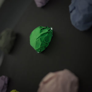 Close-up of hand holding leaf