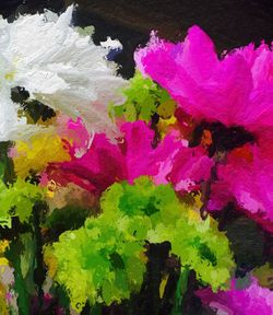 Close-up of pink flowers