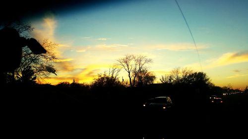 Silhouette of trees at sunset