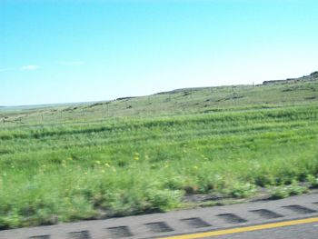 Scenic view of field against clear blue sky