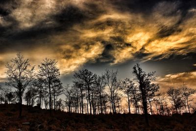 Silhouette trees against sky during sunset