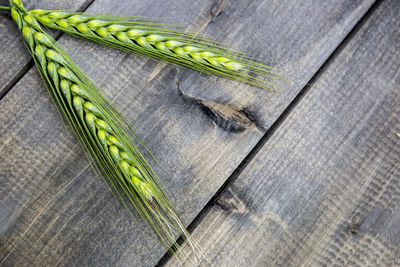 High angle view of container
