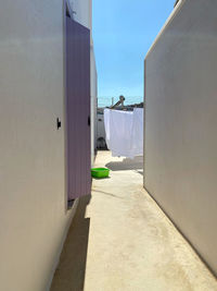 Potted plant hanging on alley against building