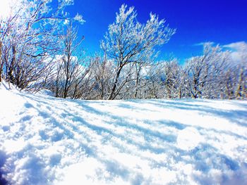 Snow covered landscape