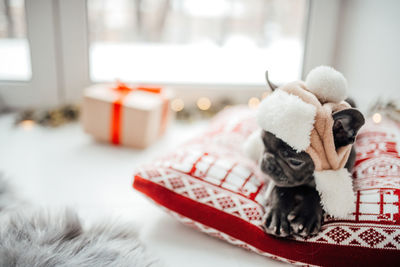 Close-up of christmas decoration on table