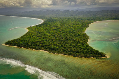 Scenic view of green landscape and sea