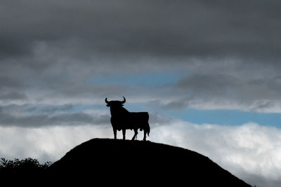 Silhouette bull standing against sky