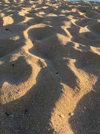 High angle view of footprints on road