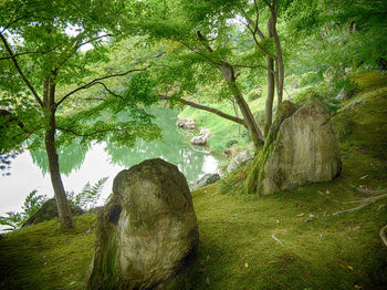 Low angle view of trees against sky