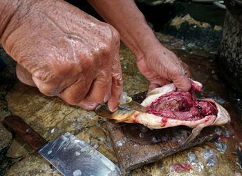 Close-up of person preparing food