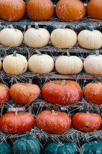 Full frame shot of pumpkins in market