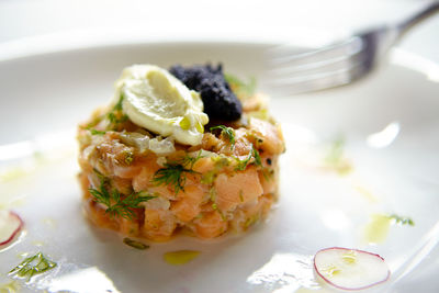 Close-up of food served in plate