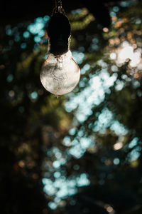 Low angle view of illuminated light bulb