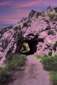 Rock formation amidst plants against sky