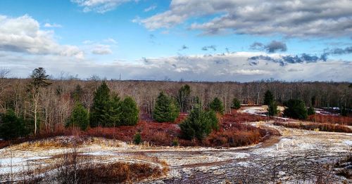 Scenic view of field against sky