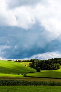 Green field with sky in background